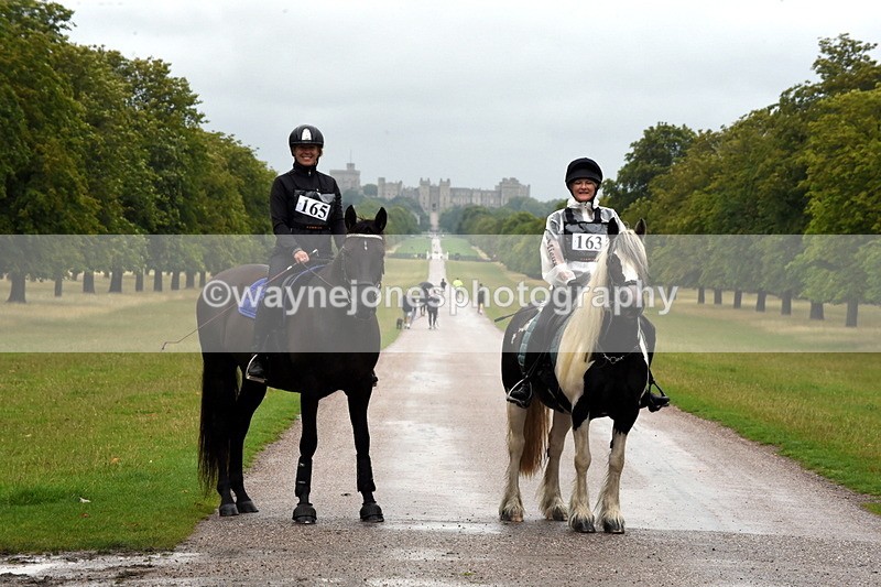 TT3_8197 - Time at Crossing 09:15 to 10:15