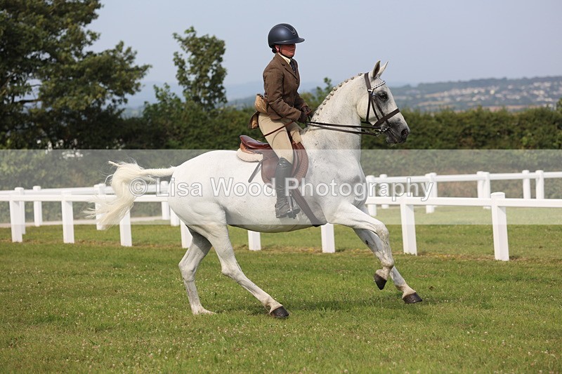 JPP_4241 - Class 25: Working Show Horse