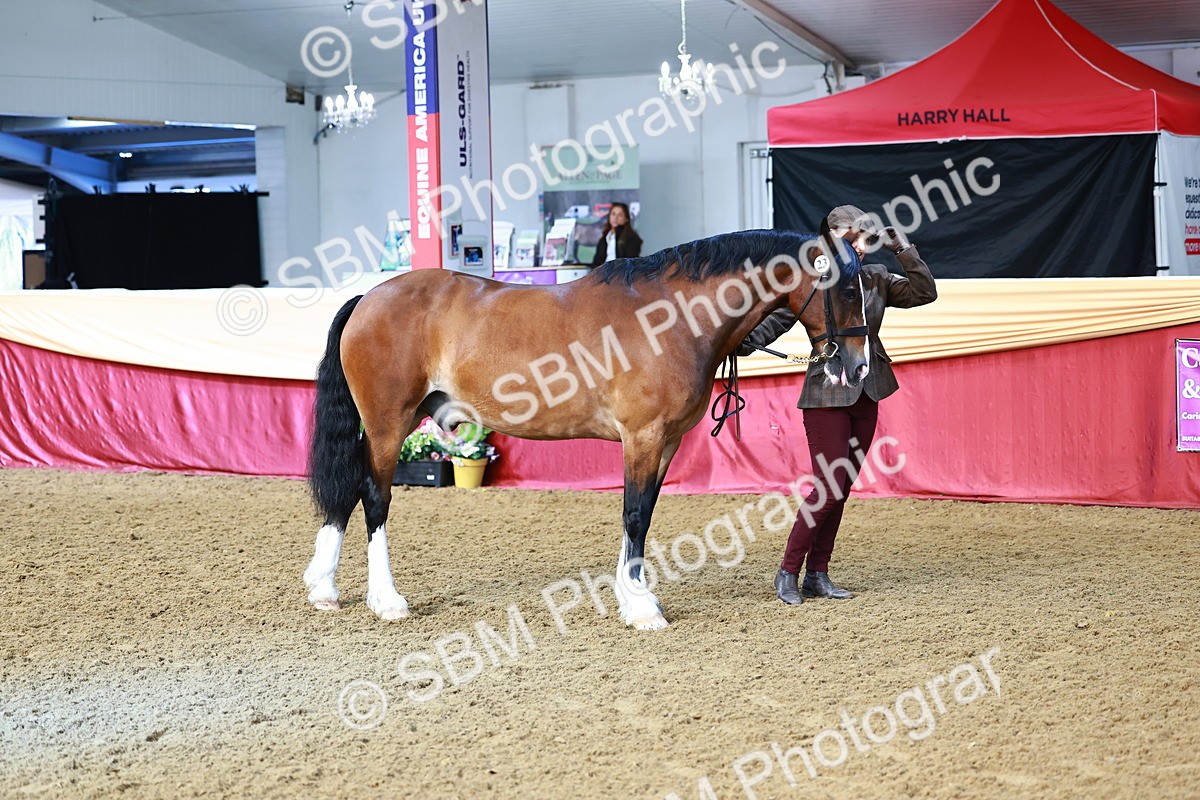 SBM_22189 - Class 902 - Supreme Final - IH Diamond