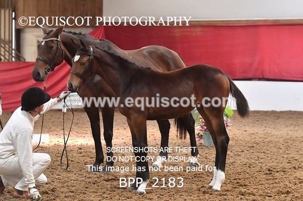 BPP_2183 - AFTERNOON 12.30 - 3.30PM