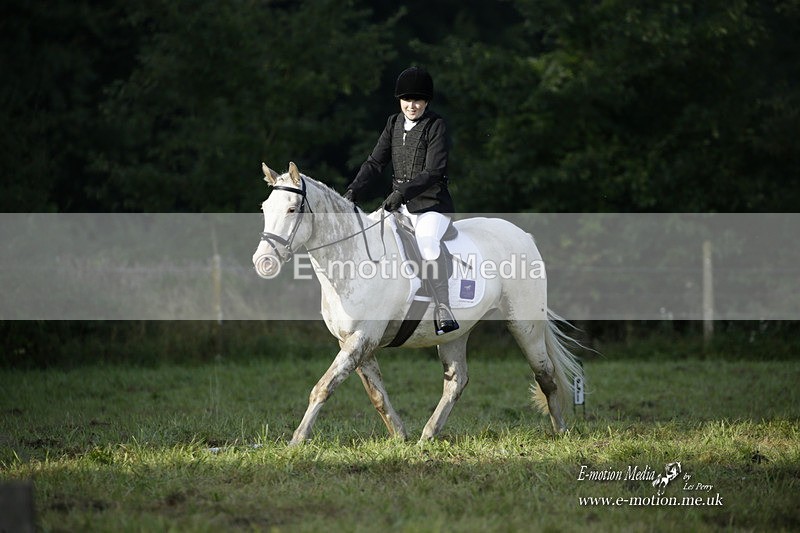BVRC 120921 28 - Bourne Valley Riding Club UA Dressage & Show Jumping 12/09/21