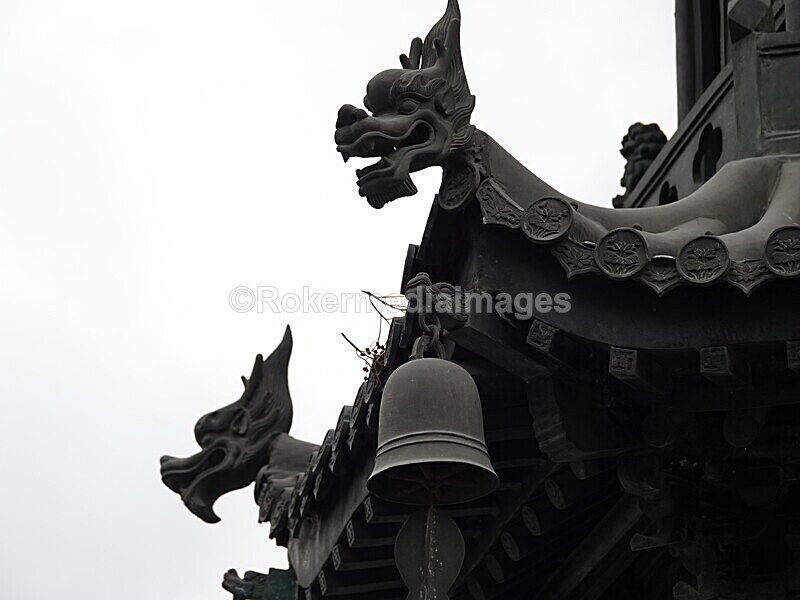 CHINA__0986 - China 2019