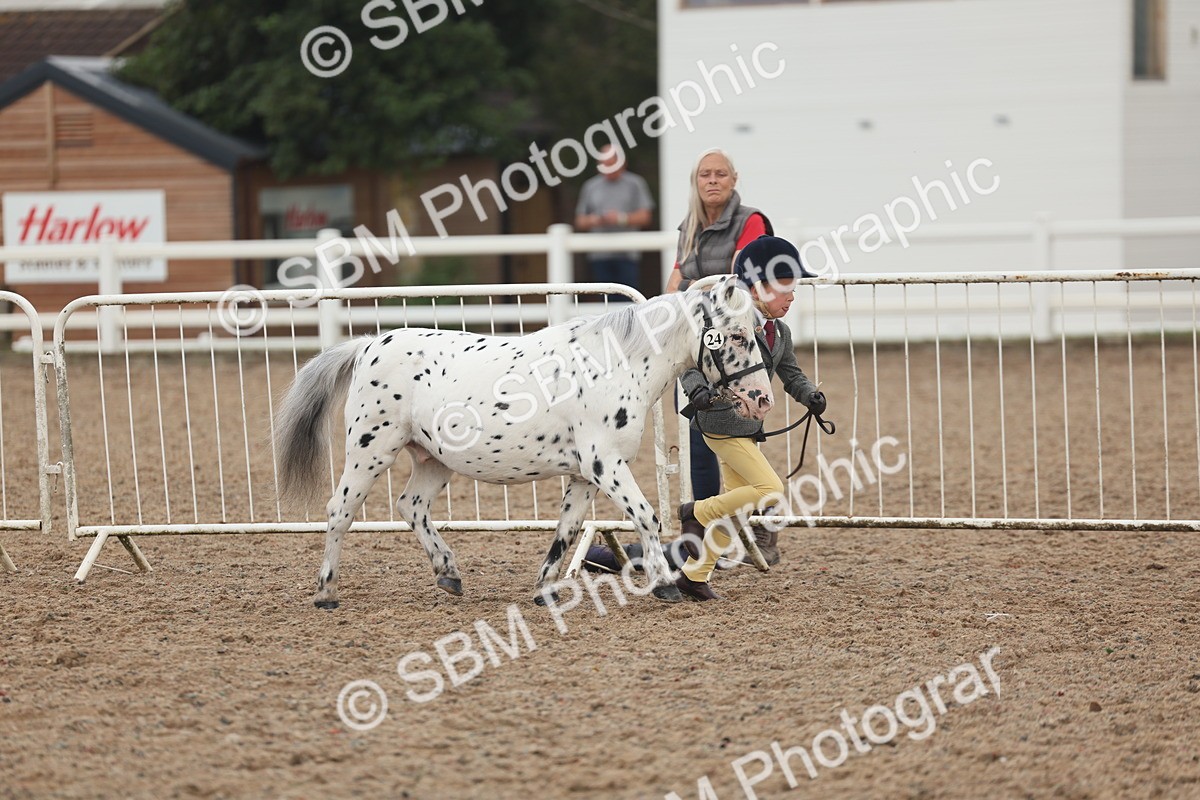 SBM_08433 - Class 29 - IH Veteran Pony