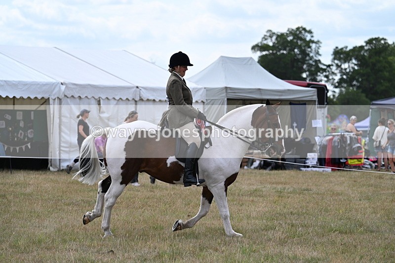 WJ7_5646 - Class 12 Ridden Cob