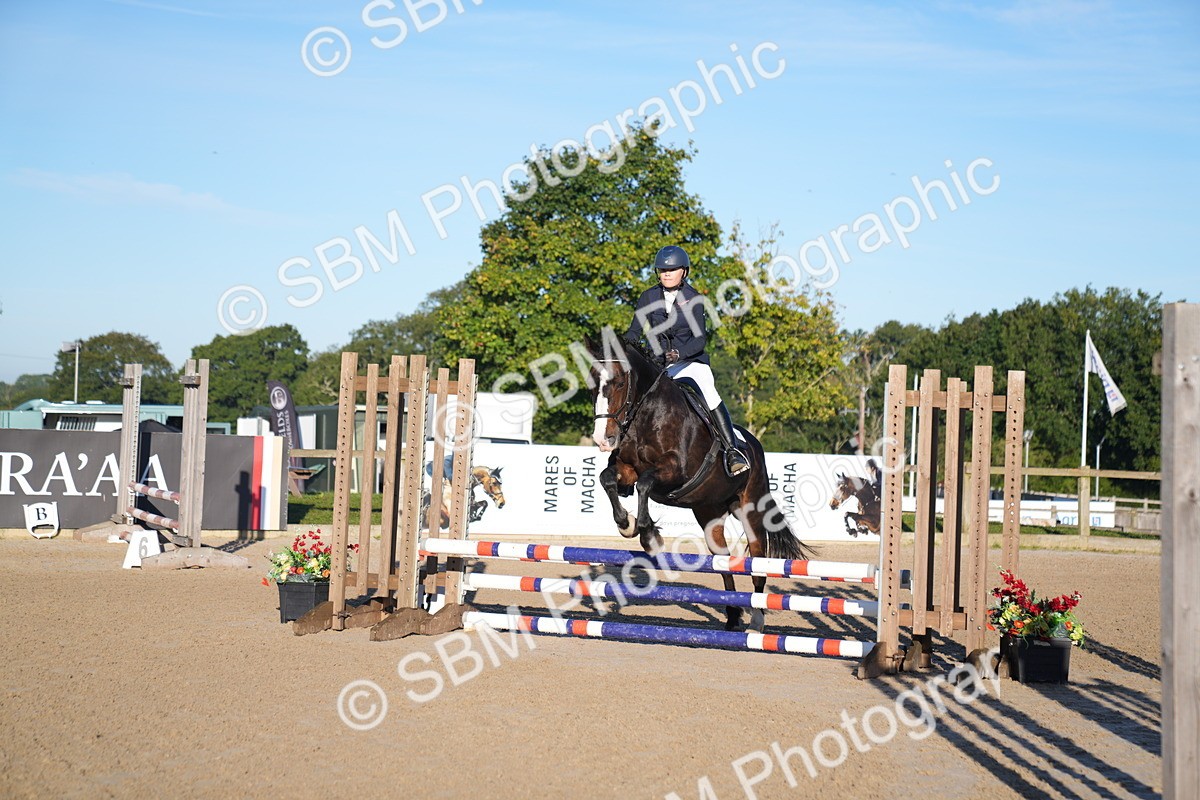 SBM_13985 - J59 - Clear Round - 65cm