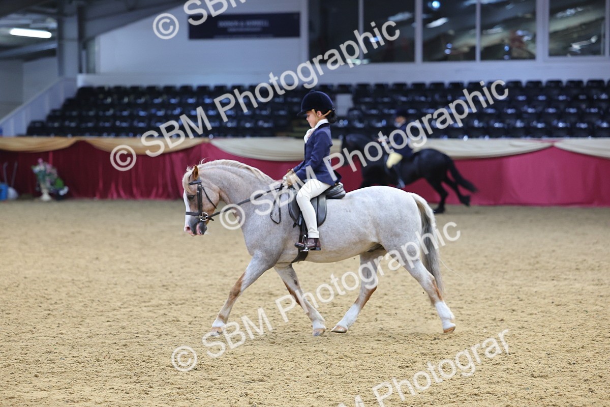 SBM_23936 - Class 905 - Supreme Final - Ridden Veteran