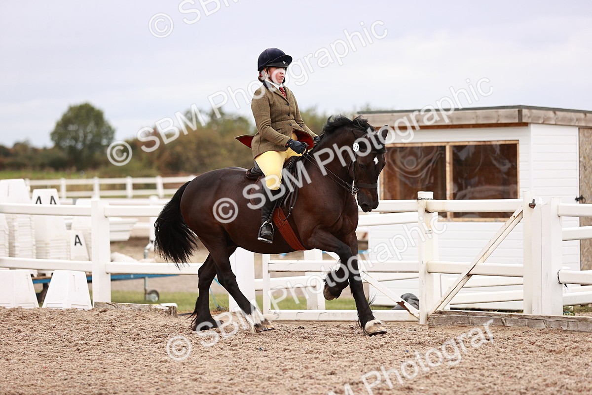 SBM_18966 - Class 422 - Ridden M&M