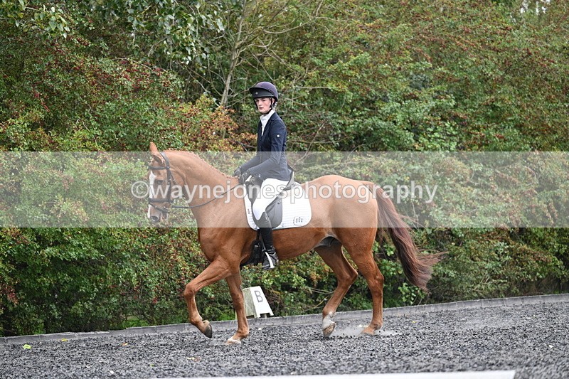 WJ7_6650 - Time 14:49 to 15:14