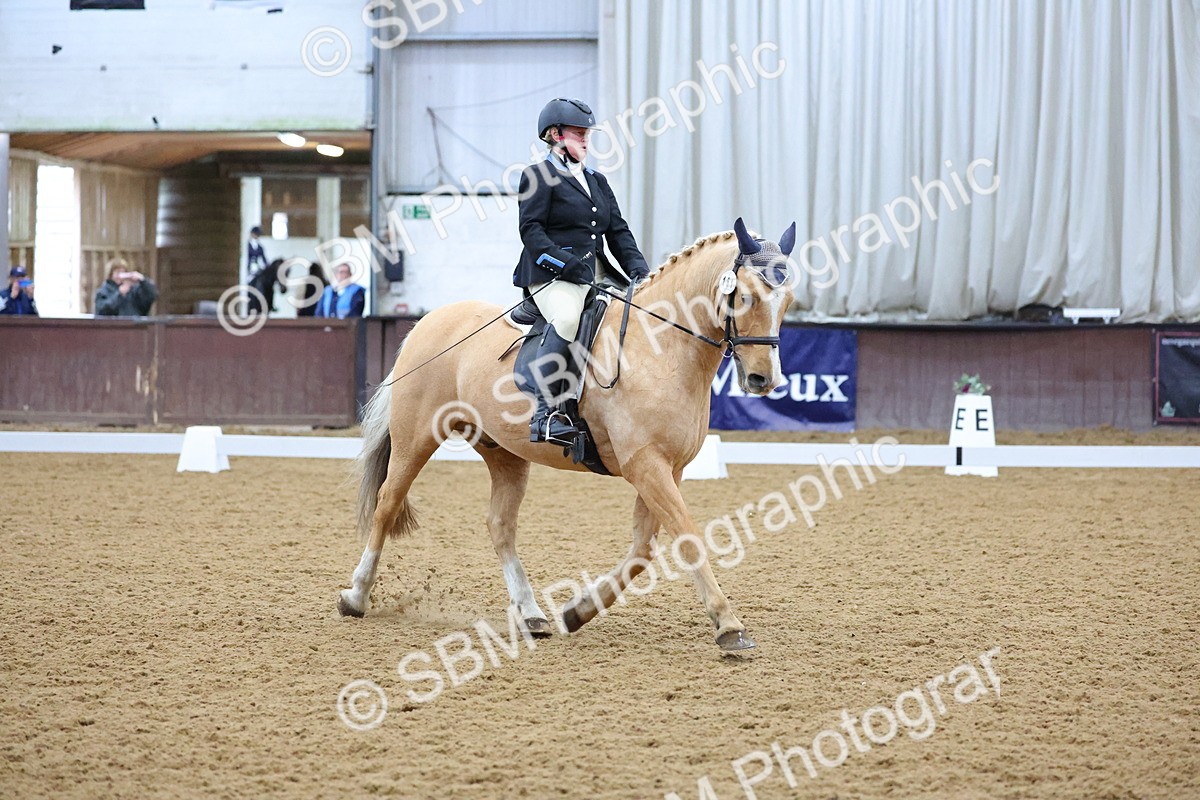 SBM_000895 - Novice
