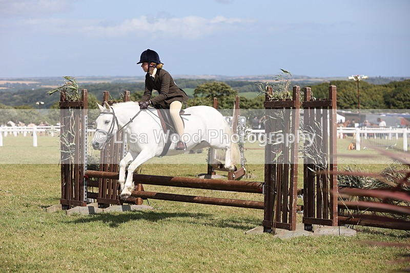 JPP_2236 - Class 19: Working Hunter 60cm