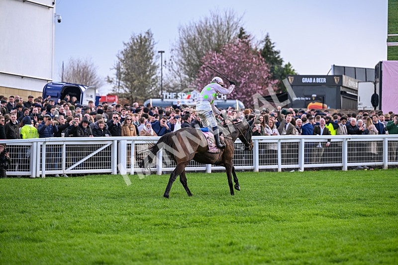 130326-Race 5-Gaelic Warrior-2686 - 13th March