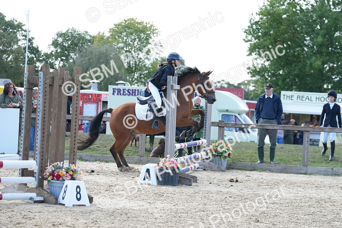 SBM_48418 - J7 - Junior Pony 60cm Championship