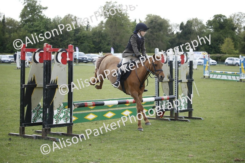 20250427-3735 - Class 14 - Absolute Novice 70cm