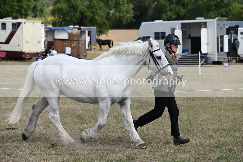 WJ6_6499 - Class 20 In-hand Cob