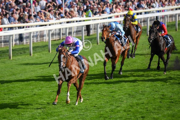 240823-Race 7-Nigiri-0865 - Race 7 5.20pm British EBF 40th Anniversary Fillies' Handicap