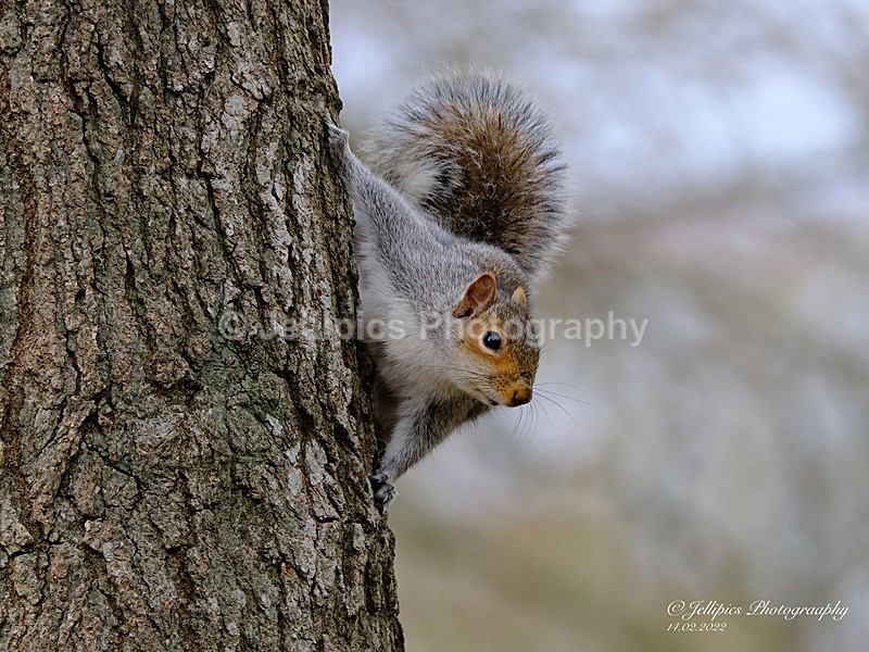  - Wildlife and Nature