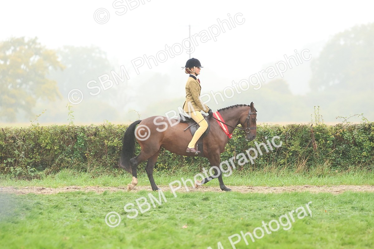 SBM_73209 - Super Supreme Championship(Sun)