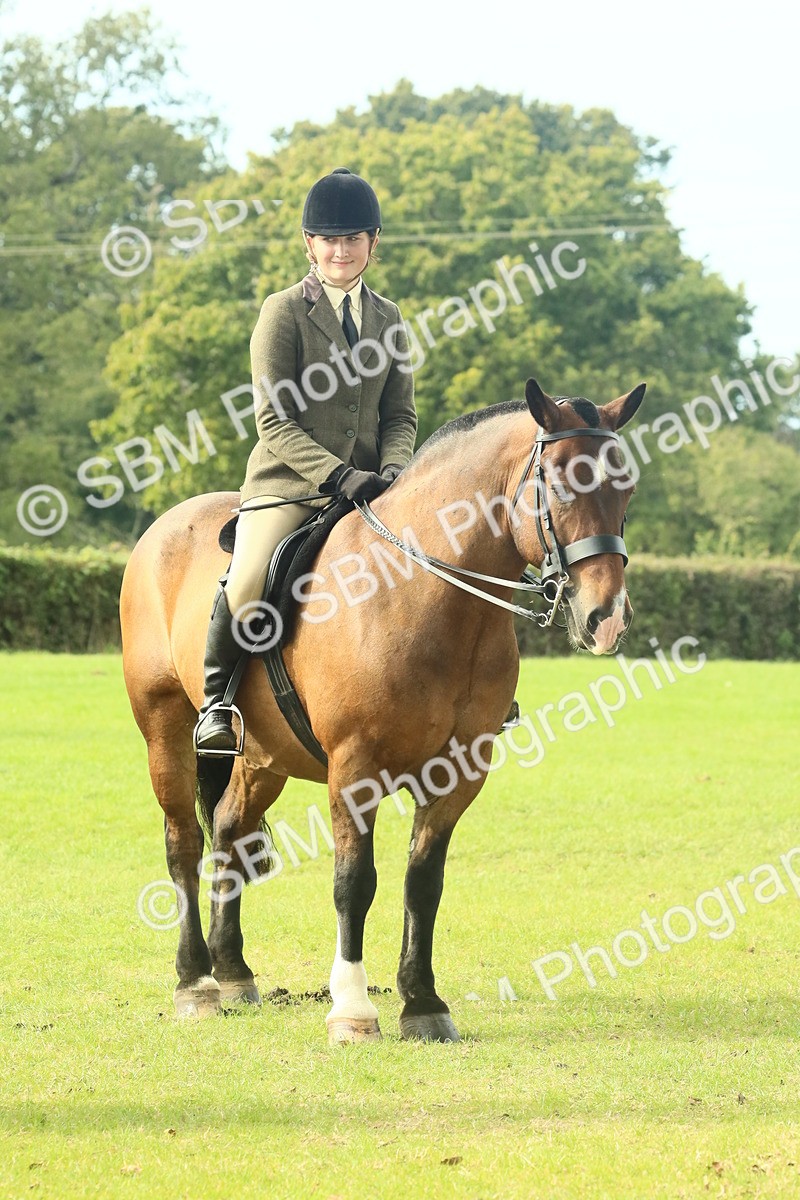 SBM_69378 - S58 - Mini Show Cob Ridden