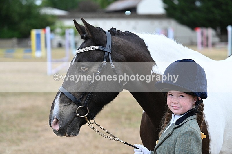 WJ7_9725 - Class 5 Most Handsome Gelding (up to 14.2hh)