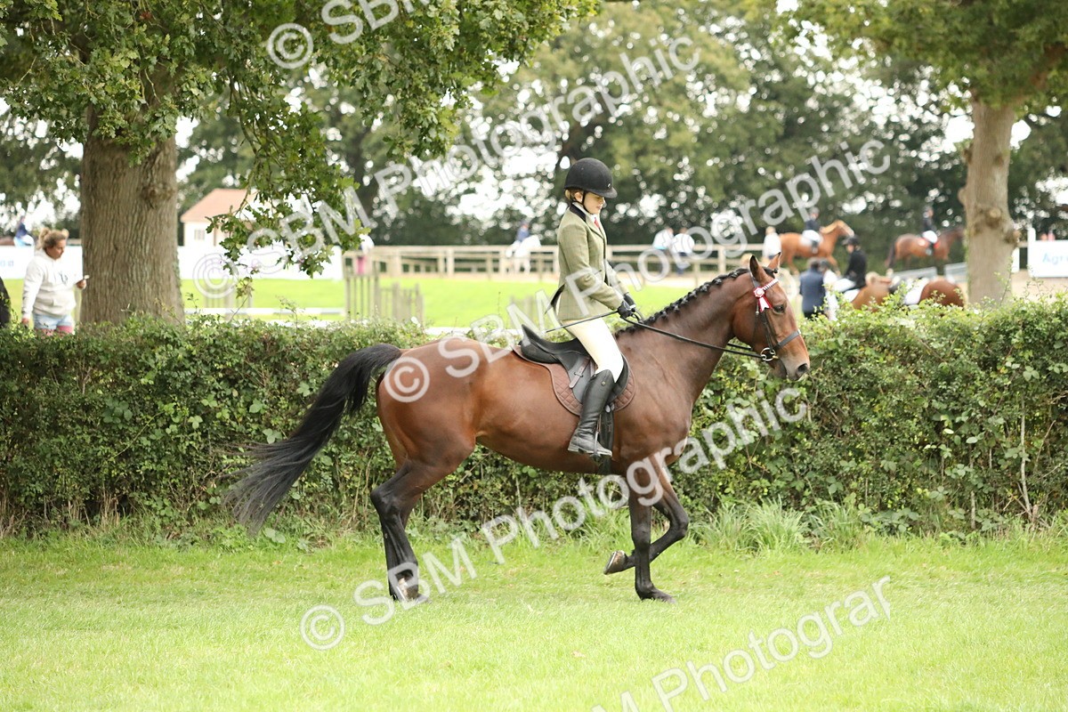 SBM_73677 - S41 - Ridden Equitation (Best Rider)