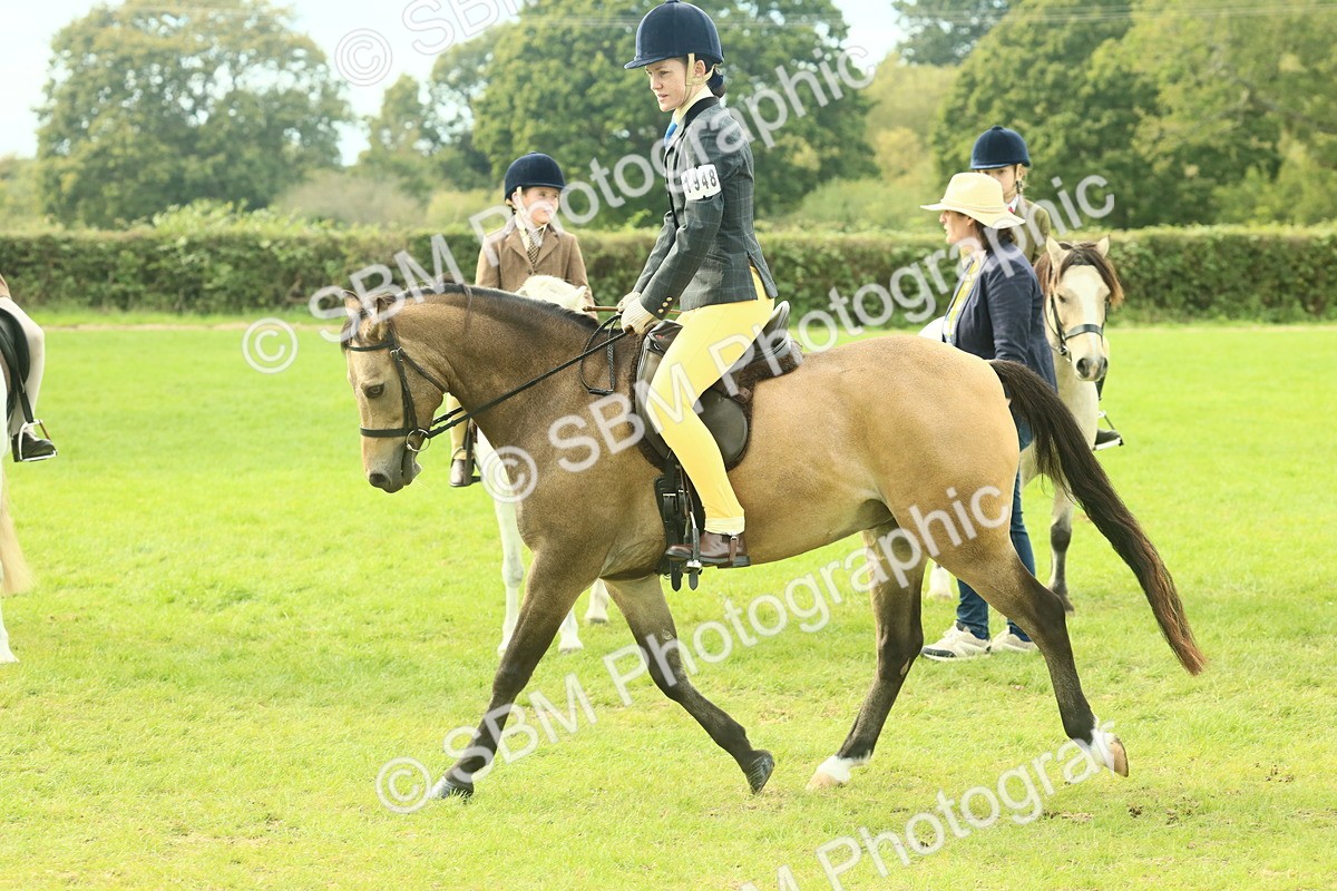 SBM_69832 - S59 - Mountain & Moorland Ridden Small Breeds