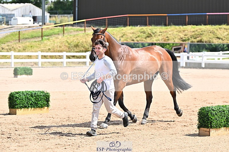 240718A-105243-01081 - Trot Up 12pm to 1pm