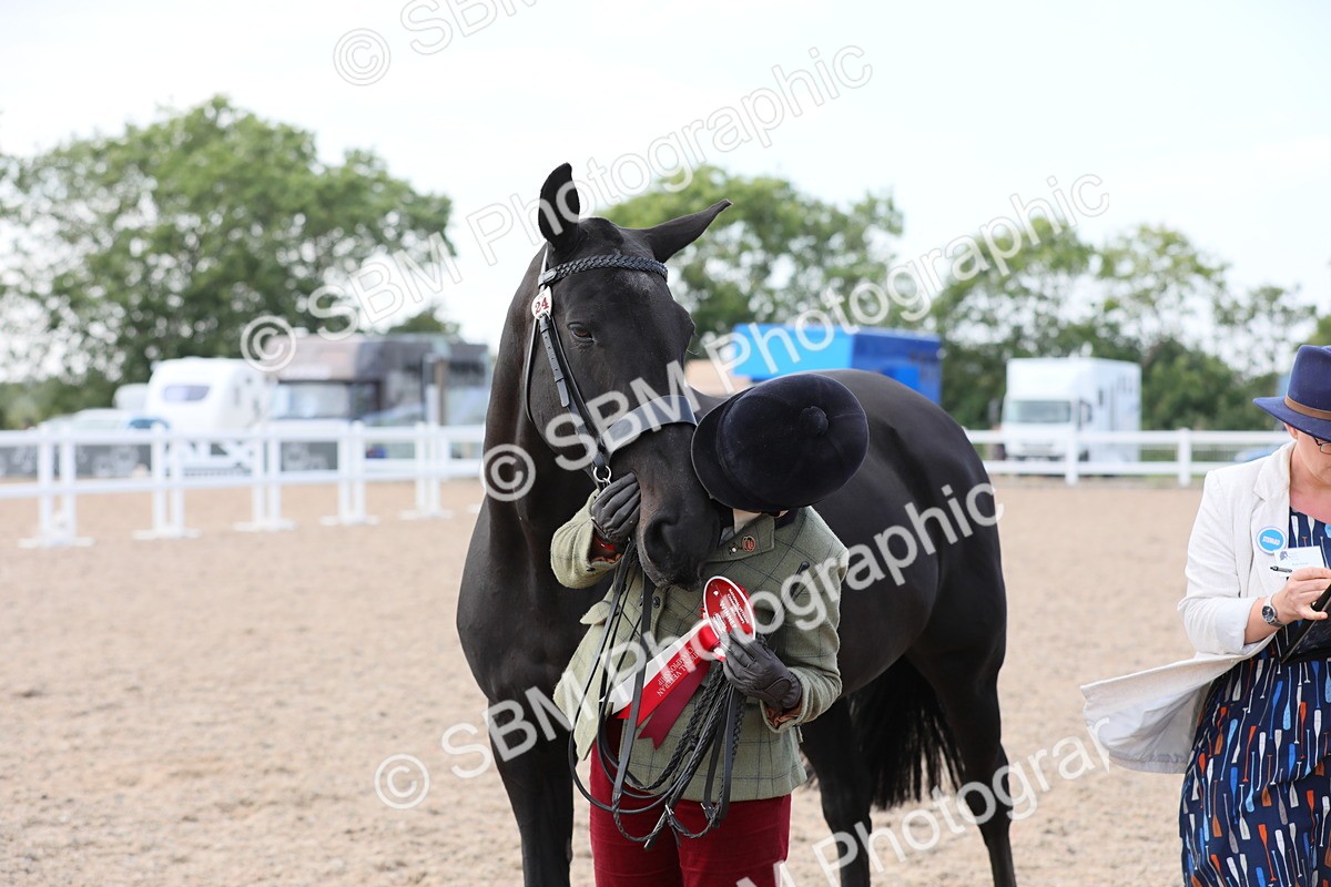 SBM_15852 - Class 312 IH Competition Horse/Pony