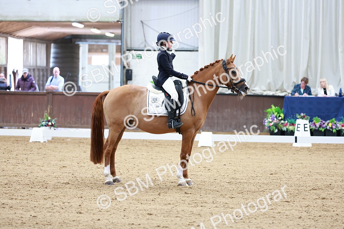 SBM_017093 - Class15 - FEI Pony