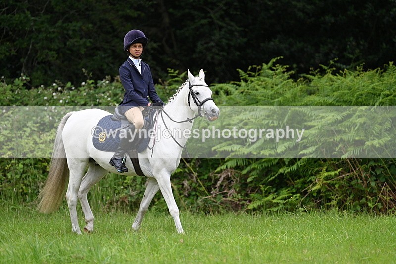 WJ7_3825 - Class 14A Handsome Gelding