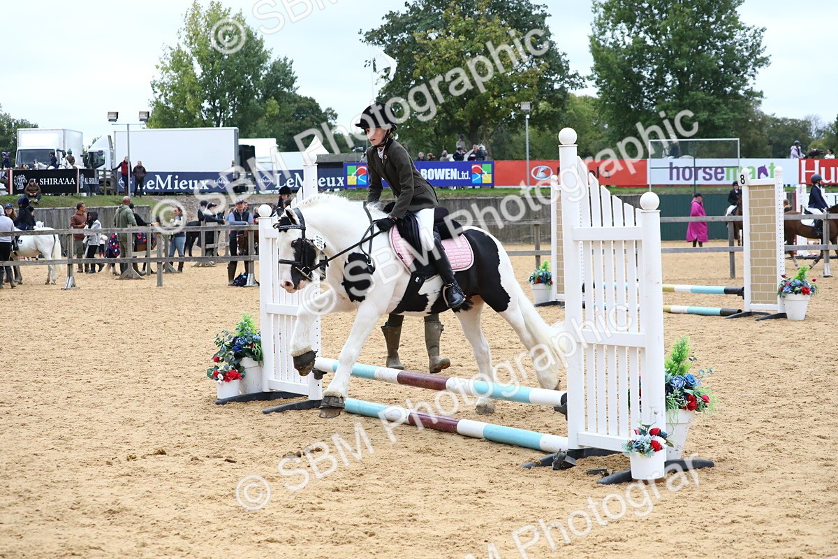 SBM_68305 - J3b - Mini Tour Junior Pony 40cm Championship