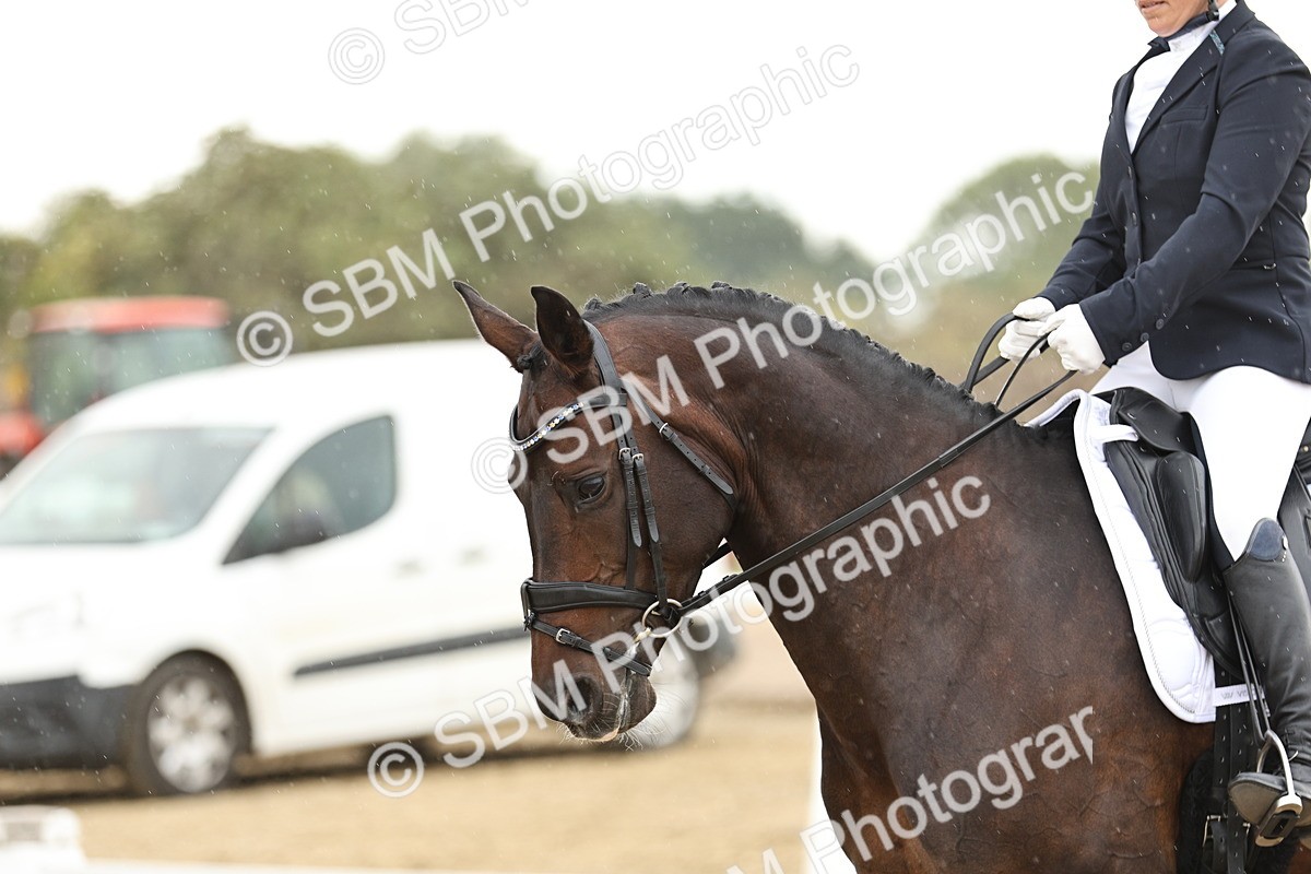 SBM_006965 - Class 21 - Medium 5 Bronze - 10.04-10.52