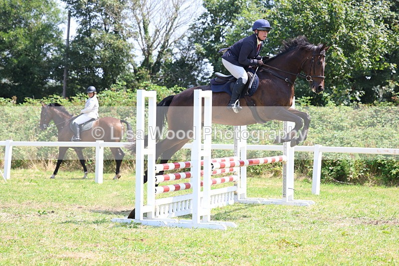 3E7A2951 - Class 7: Senior British Novice/90cm open
