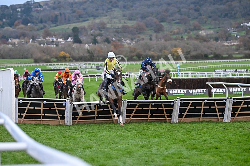 171124-Race 5-Burdett Road-4272 - Race 5