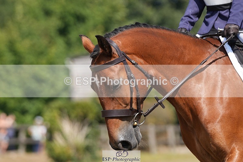 250823A-120736-29268 - Arena A