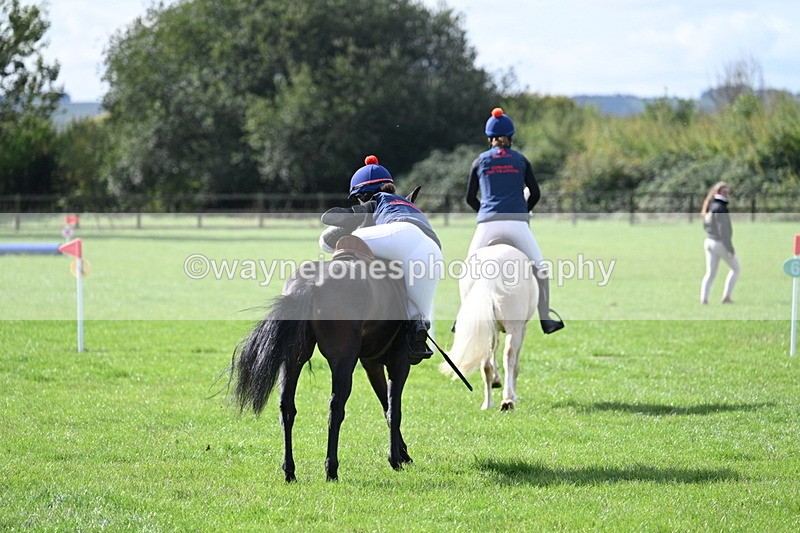 WJ7_8512 - 60cm Pairs