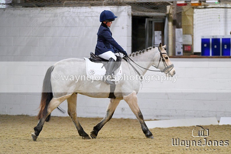 WJ5_2930 - Edited examples