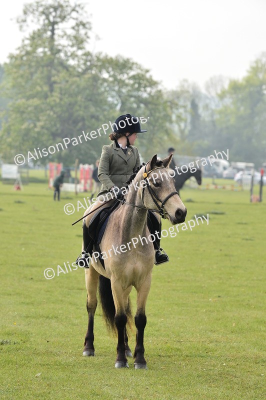 20260426-0841 - Class 18 - Novice Showing