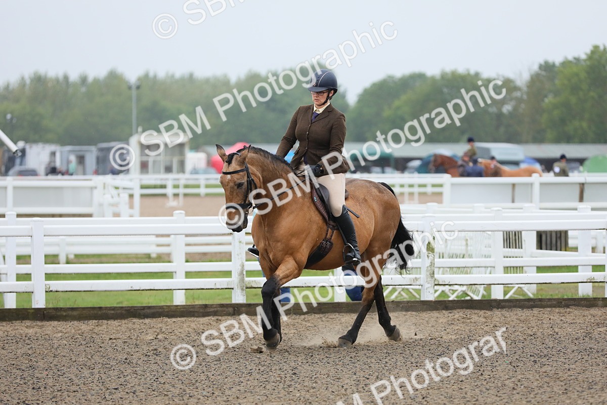 SBM_19914 - Class 801 - Ridden Veteran
