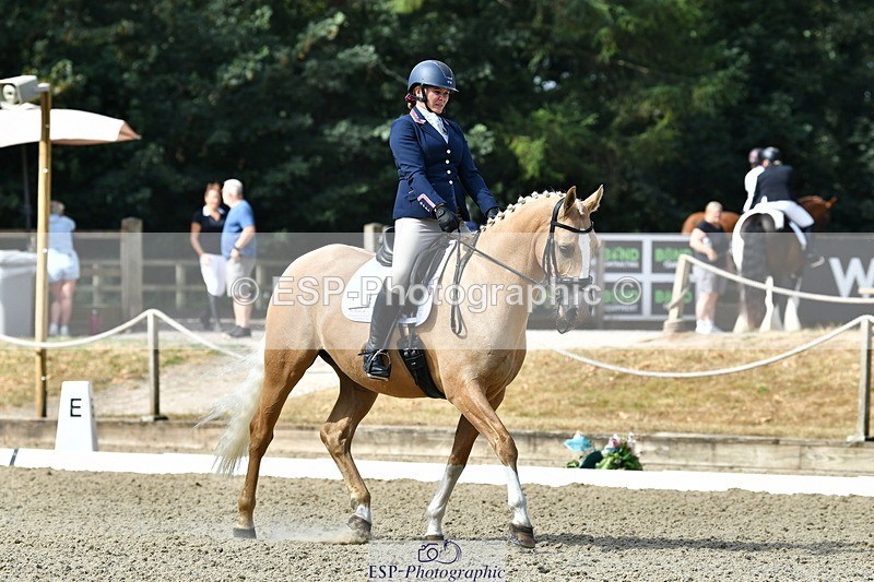 260801A-101745-02952 - Premin Silver Start - 11.35