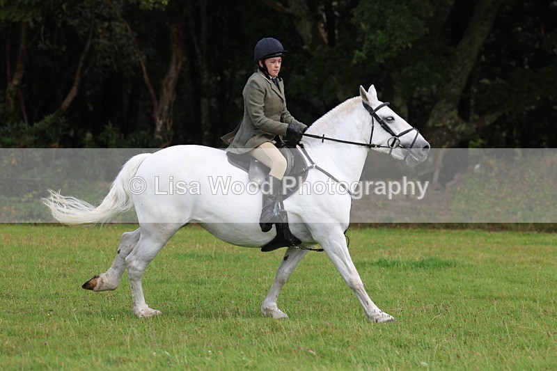 3E7A6007 - Class 28: 75cm Working Hunter