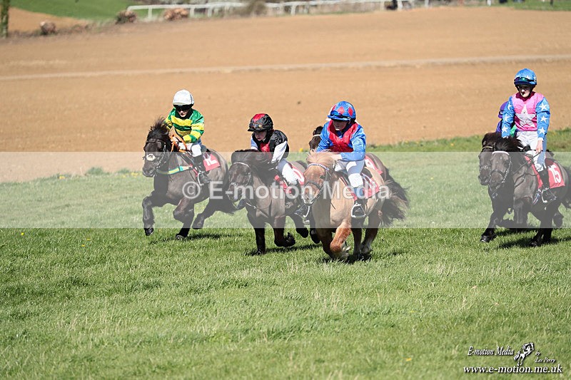 Shet 060426 267 - Shetland Pony Racing Paxford Races Easter Mon 06/04/26