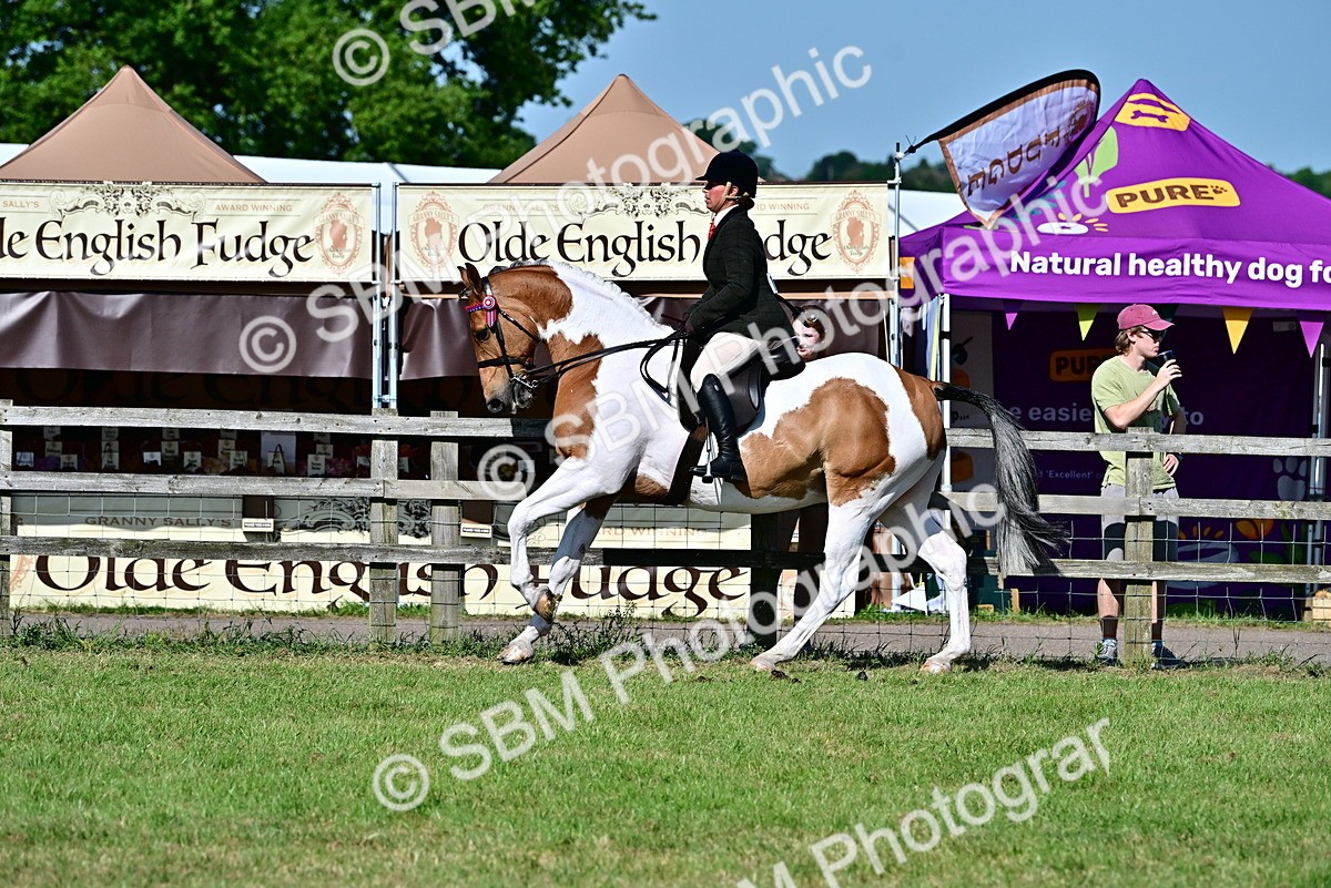 SBM_19504 - Class 101-102 - BSPS LIHS Performance Coloured Horse/Pony