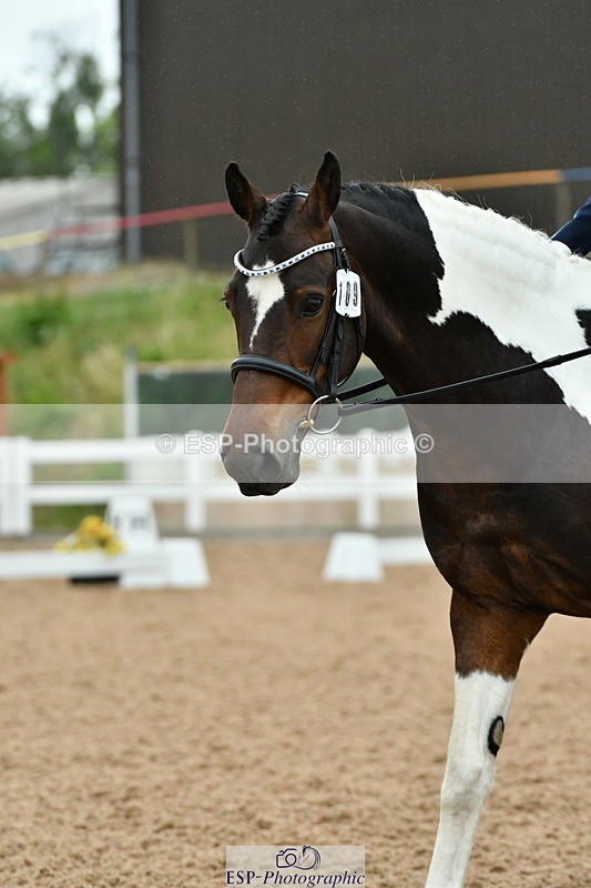 230630A-121218-01808 - Cls 7 Elementary 45