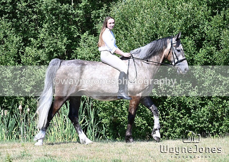 WJ7_4178 - Annable & Atlas 13-07-25