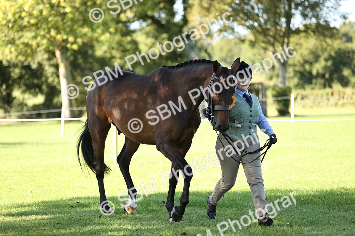 SBM_15799 - S1 - TSR in Hand Horse & Pony Showing