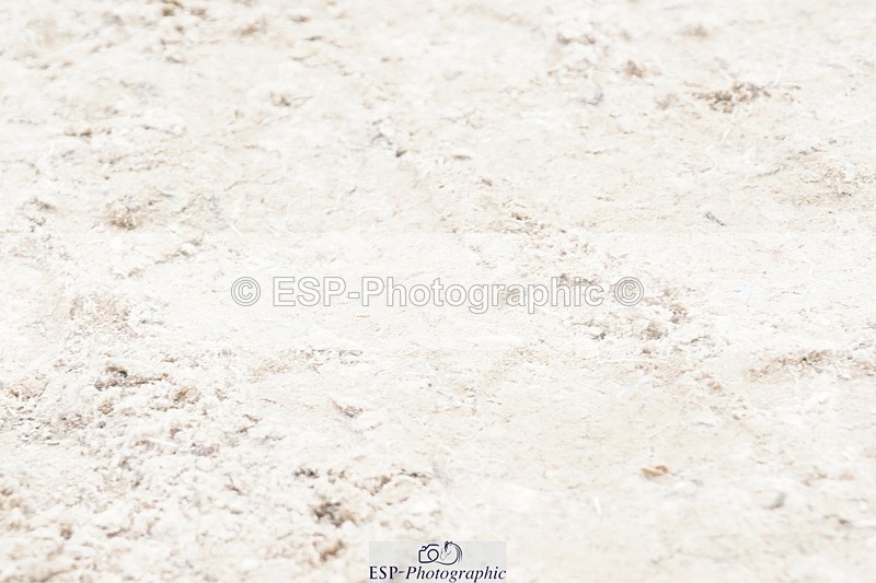 250420A-123218-00779 - Cls 03 80cm