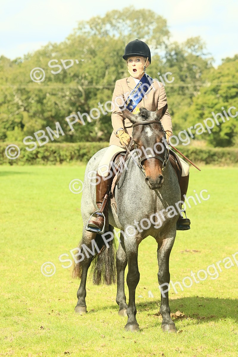 SBM_62688 - S63 - Other Coloured Horse Ridden