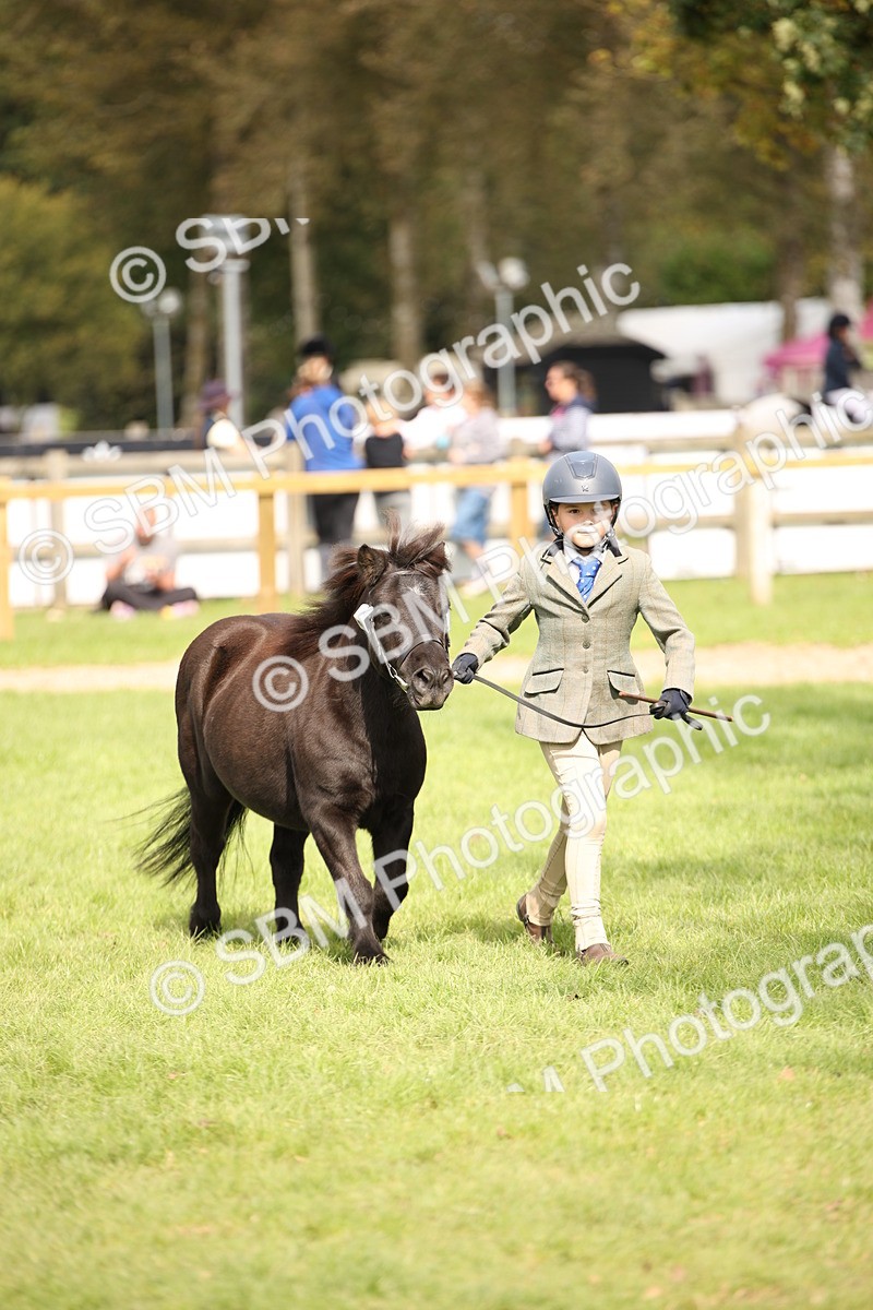 SBM_46355 - S25 - Mature Veteran In Hand