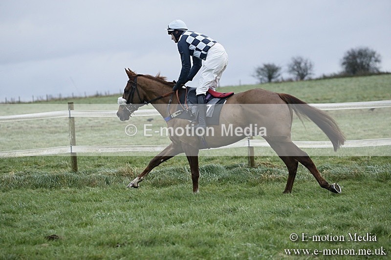 PtP 031217 813 - Hursley Hambledon Point-to-Point Larkhill 03/12/17