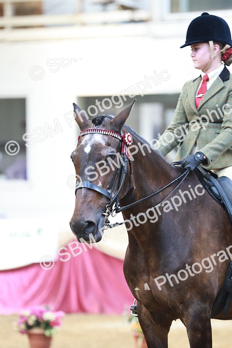 SBM_07239 - Class 10R - Regional Ridden Diamond